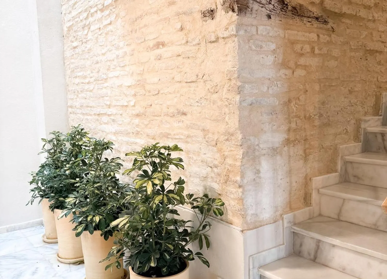 Monkeys Apartments Quintana Q1 Seville